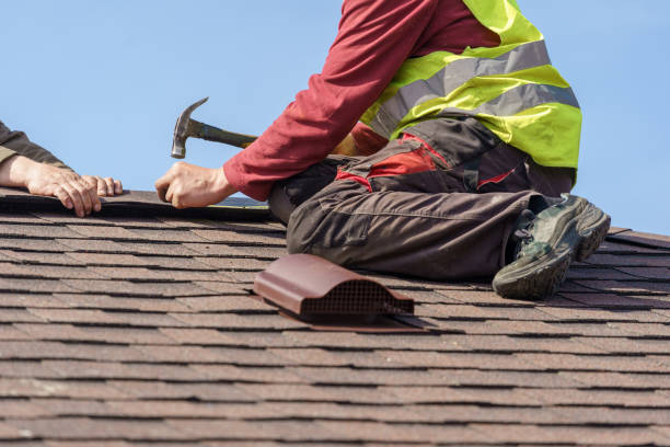 Best Roof Maintenance Services  in Tanaina, AK