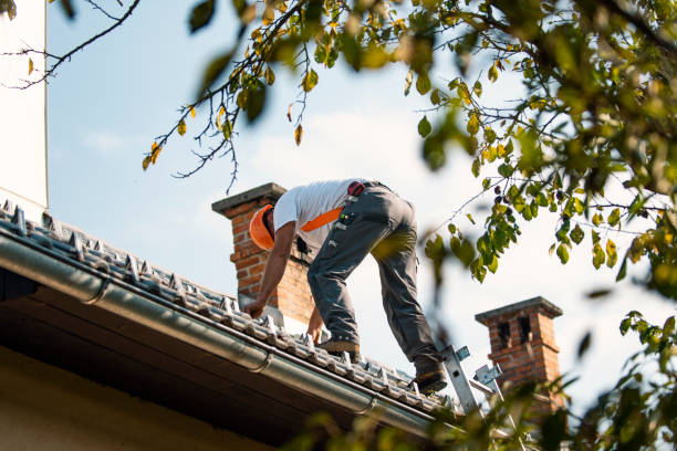 Best Storm Damage Roof Repair  in Tanaina, AK