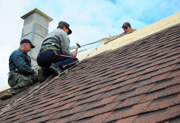 Best Shingle Roofing Installation  in Tanaina, AK