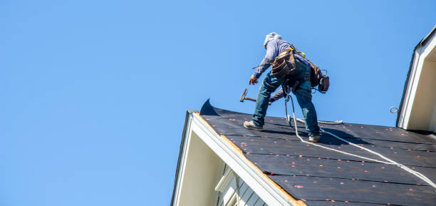 Best Gutter Installation and Roofing  in Tanaina, AK